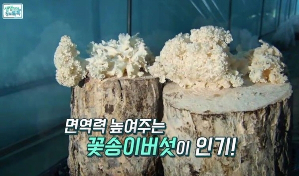 ▲출처- 생생경제 정보톡톡