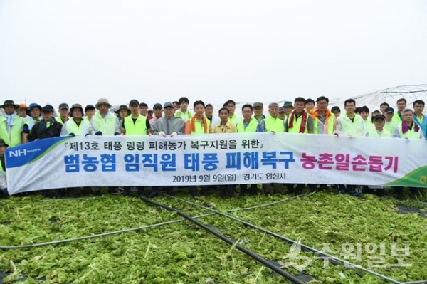 경기농협이 9일 태풍 피해를 입은 관내 농가를 찾아 봉사활동을 펼친 뒤 기념촬영을 하고 있다.(사진=경기농협)