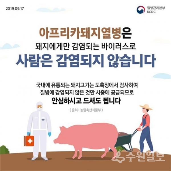 평택시의 아프리카돼지열병(ASF) 인체 무해 홍보 포스터.(사진=평택시청)