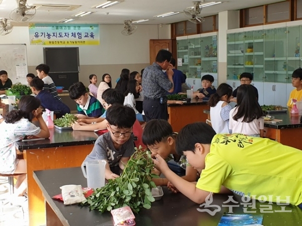 수원시 원일초등학교가 지난 1일 경기도 지원 사업인 ‘친환경 에코팜’ 체험활동 행사를 진행했다.(사진=수원시원일초등학교)