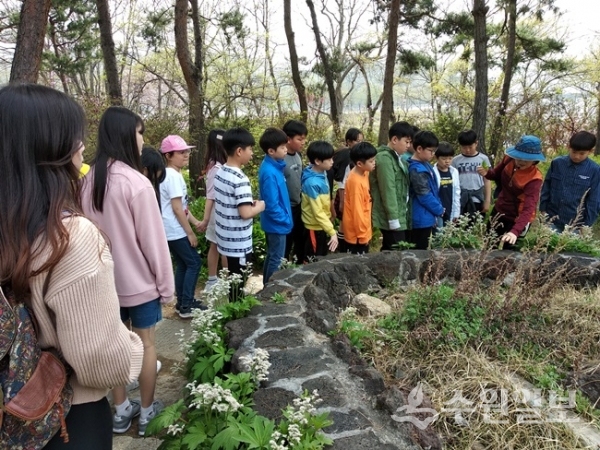 즐거운 에코여행 현장학습 모습.(사진=경기도)