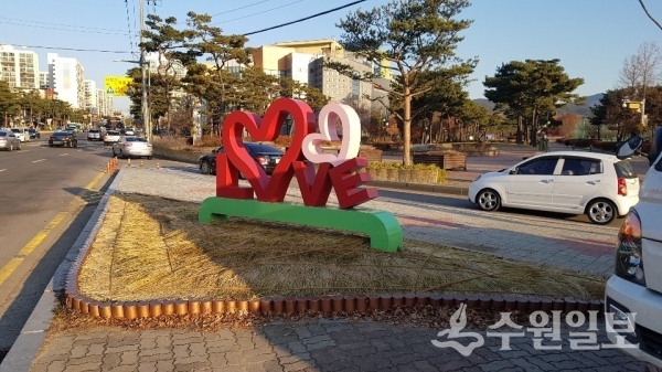 장안구가 한파와 강풍 및 제설제로 인한 수목피해를 예방하기 위해 가로녹지를 정비했다.(사진=장안구)
