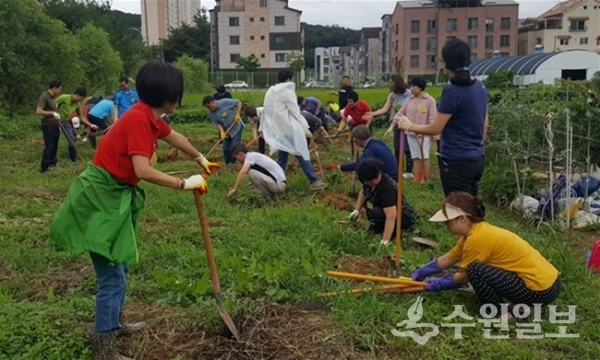도민텃밭 경작활동 모습.(사진=경기도)