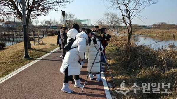 '오산천 철새탐조 행사’에 참여한 시민들이 철새를 관찰하고 있다.(사진=오산시)