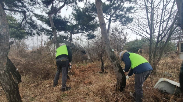 권선구 관계자들이 소나무 재선충 예방 작업을 하고 있다.(권선구)