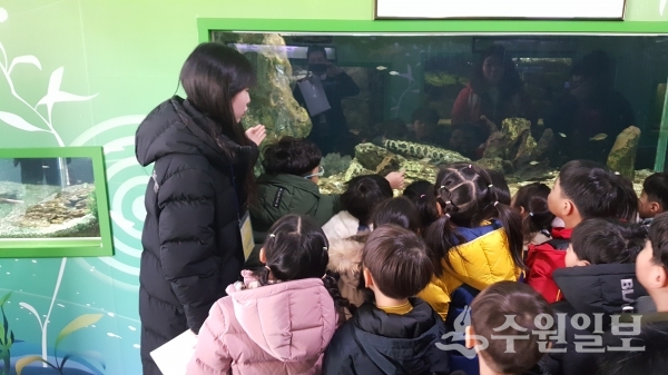 의왕시 조류생태과학관의 청소년 큐레이터(맨 왼쪽)가 어린이들에게 해설을 하고 있다.(사진=의왕시 조류생태과학관)