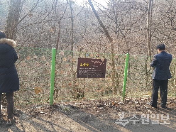수원시 공무원과 환경단체 관계자가 양서류 서식지 주변 보호망에 양서류 보호 메시지를 담은 나뭇조각을 달고 있다.(사진=수원시)