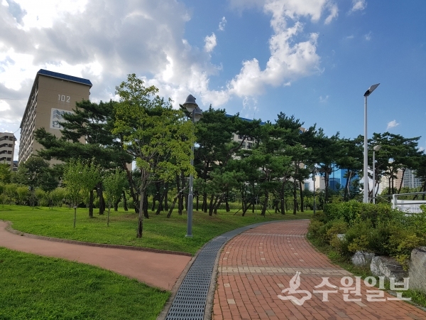 팔달구 인계동 청소년문화공원에 심어진 나무들.(사진=팔달구)