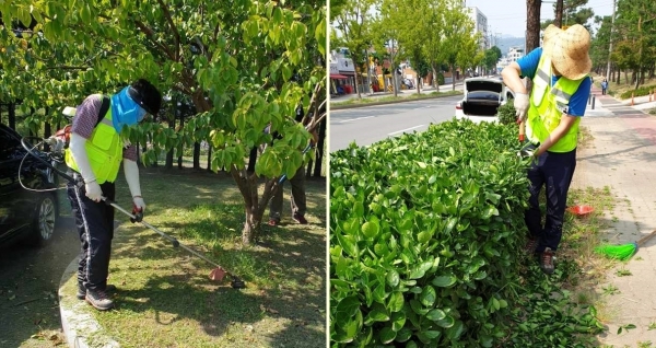 장안구 도시숲 코디네이터.(사진=장안구)
