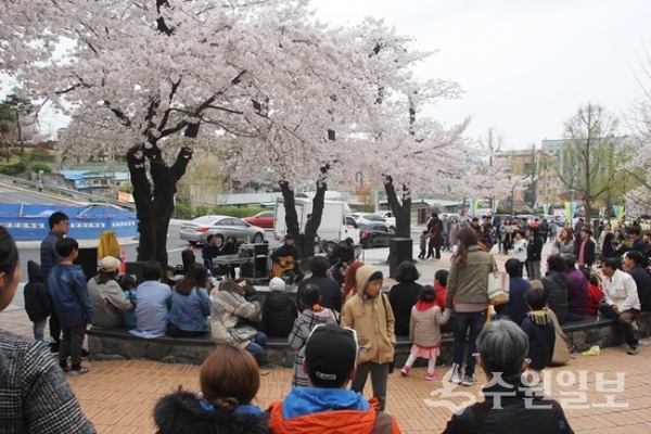 지난해 경기도청 봄꽃축제 모습.(사진=경기도)