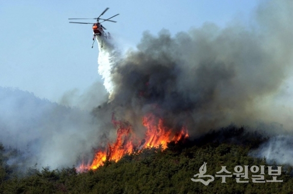 헬기를 이용한 산불진화 모습.(사진=산림청)