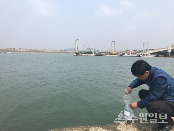 경기도보건환경연구원 직원이 비브리오패혈증균 검출을 위해 서해에서 바닷물을 채수하고 있다.(사진=경기도)