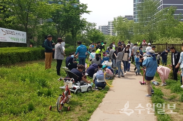 지난해 열린 미꾸라지 방생을 통한 생태하천 가꾸기 행사.(사진=수원아이파크시티마을교육공동체 추진위원회)
