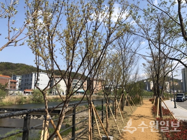 마평동 양지천 일대 조성한 주민 휴식 공간.(사진=용인시)