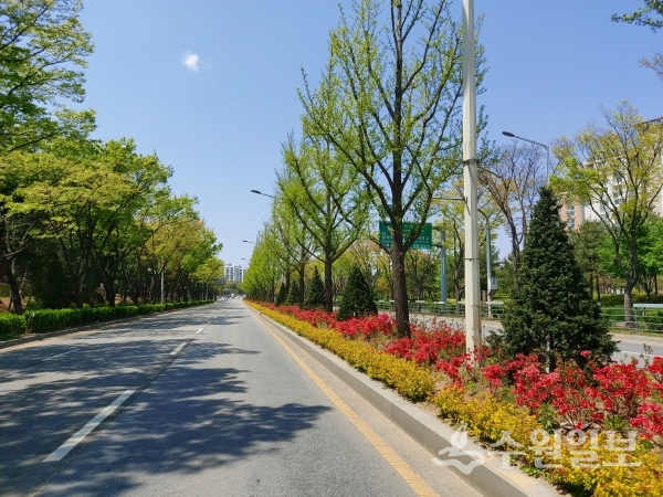 꽃이 심어진 국도1호선 남부문화예술회관~동삭교 구간.(사진=평택시)