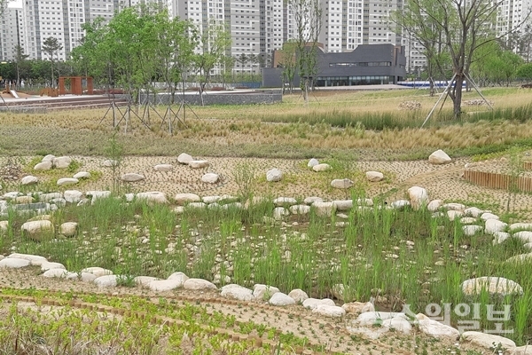 영통구 망포동 글빛누리공원.(사진=영통구)