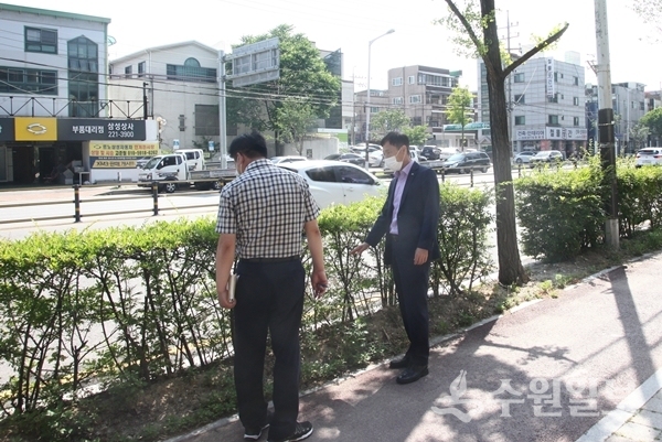 권찬호 팔달구청장(오른쪽)이 4일 관내 녹지를 점검하고 있다.(사진=팔달구)