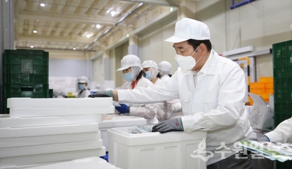 백군기 시장이 급식용 식재료 꾸러미 포장작업에 참여하고 있다.(사진=용인시)