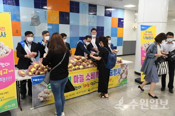 경기농협이 10일 오전 분당선 수원시청역에서 출근길 시민을 대상으로 마늘 무료 나눔을 실시하고 있다.(사진=농협 경기지역본부)