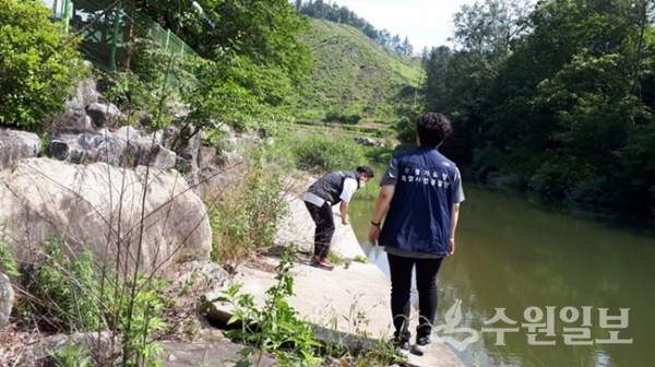 경기도 특사경 직원이 하천에서 현장점검을 하고 있다.(사진=경기도)