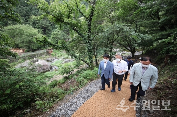 이재명(가운데) 경기도지사가 계곡 점검을 하고 있다.(사진=경기도)