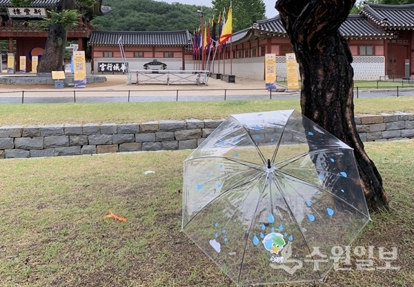 수원화성 앞에 놓여진 수원이 투명 우산.(사진=수원문화재단)