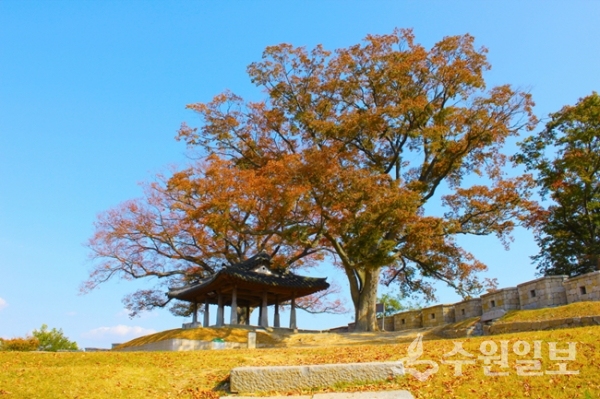 강화 연미정.(사진=강화군)
