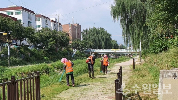 권선구 관계자들이 풀깎기 작업을 하고 있다.(사진=권선구)