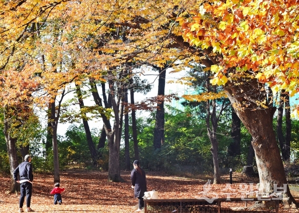 경기상상캠퍼스 잔디밭에서 어린이와 부모가 자유롭게 산책을 즐기고 있다.(사진=수원시)