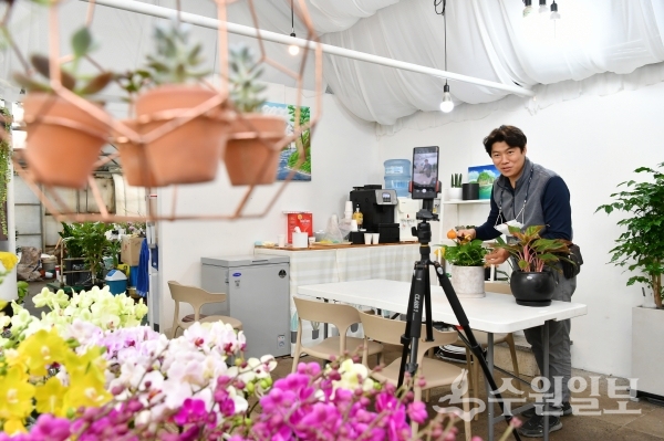 김승현씨가 라이브커머스 시장에 진출하기 위해 온실에 간이 스튜디오를 만들어 온라인 방송을 연습 중이다.(사진=수원시)