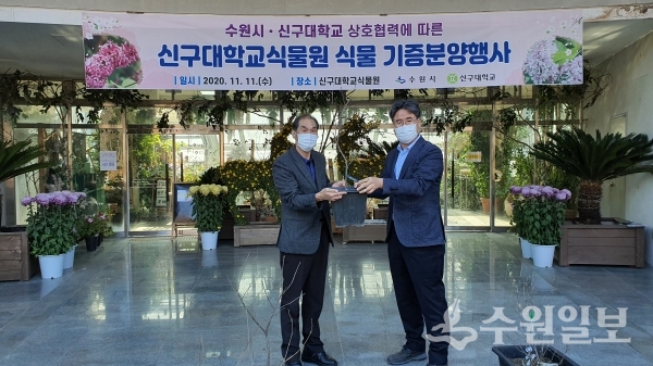허의행 수원시 공원녹지사업소장(왼쪽)과 전정일 신구대학교식물원장이 11일 기증식 기념촬영을 하고 있다.(사진=수원시)