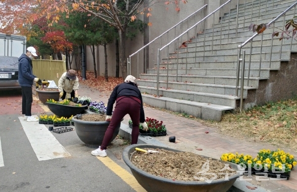 화서1동 관계자들이 꽃을 심고 있다.(사진=화서1동)