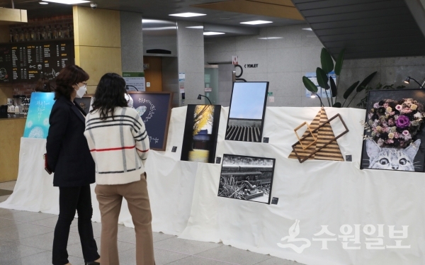 권선구청 로비에 마련된 미술작품들.(사진=권선구)