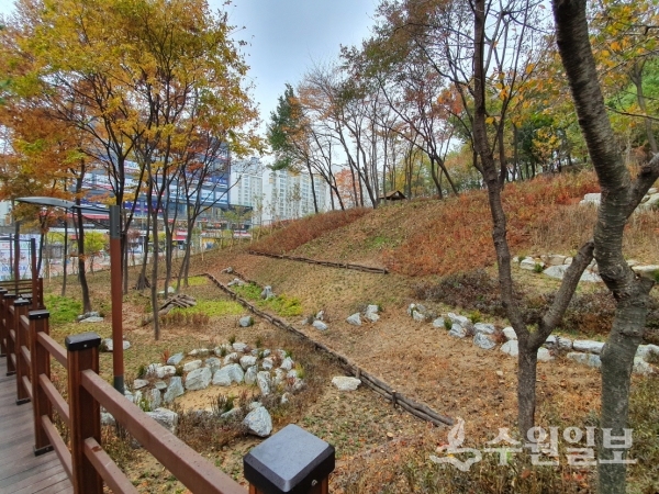 오산시 수청동 문헌근린공원 내 기후변화 대응 숲.(사진=오산시)