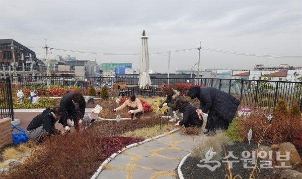 세교도서관 옥상정원에서 방한 작업을 하고 있다.(사진=평택시)