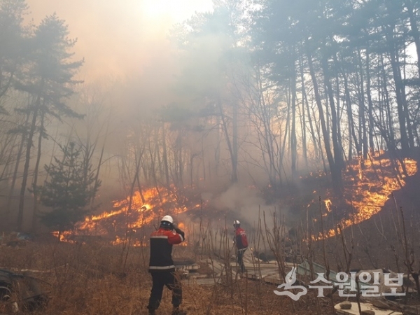 산불전문예방진화대 활동 모습.(사진=경기도)