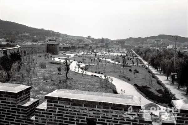 1979년 조성 직후의 장안공원.(사진=김충영 박사)