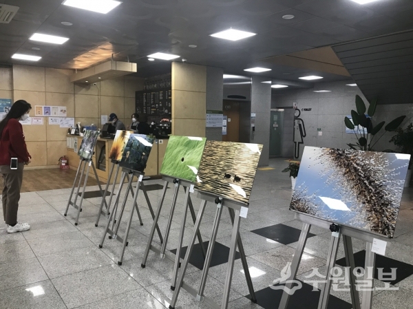 권선구 청사에서 열린 사진전.(사진=권선구)