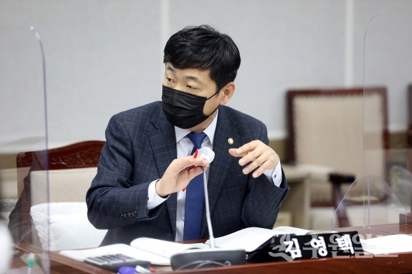김영택 수원시의원.(사진=수원시의회)