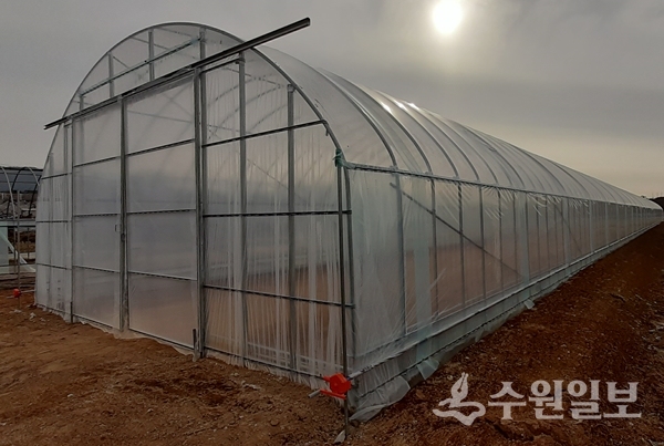 강화군 내 농가의 비닐하우스.(사진=강화군)