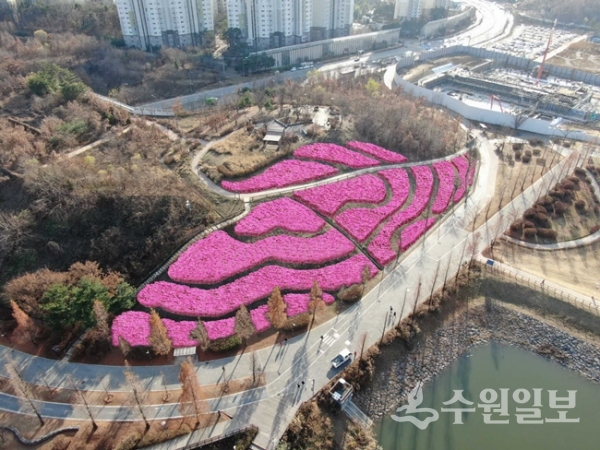 광교 철쭉동산 조성계획도.(자료=수원시)
