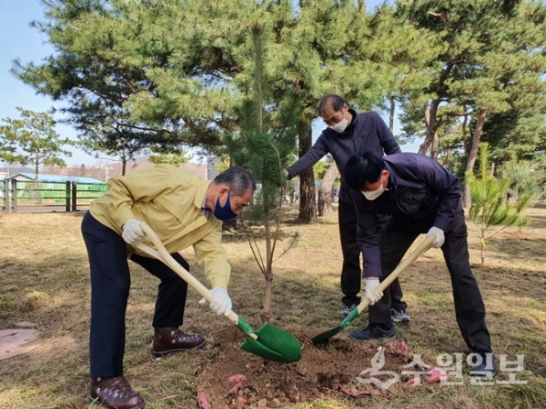 조무영 수원시 제2부시장(왼쪽)을 비롯한 수원시 공직자와 시민단체 회원들이 노송 후계목을 심고 있다. (사진=수원시)