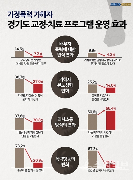 가정폭력 설문조사 그래픽.(사진=경기도)