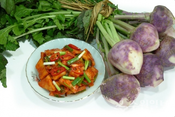 강화 순무.