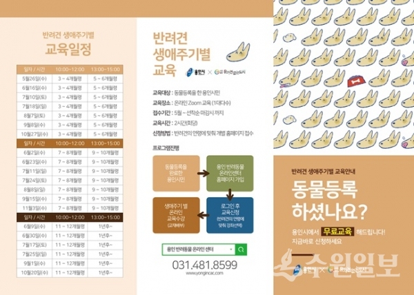 반려견 나이 필요정보 안내 포스터.(사진=용인시)