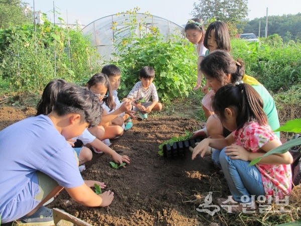 서수원 교육문화 공동체 텃밭활동 모습.(사진=경기도)