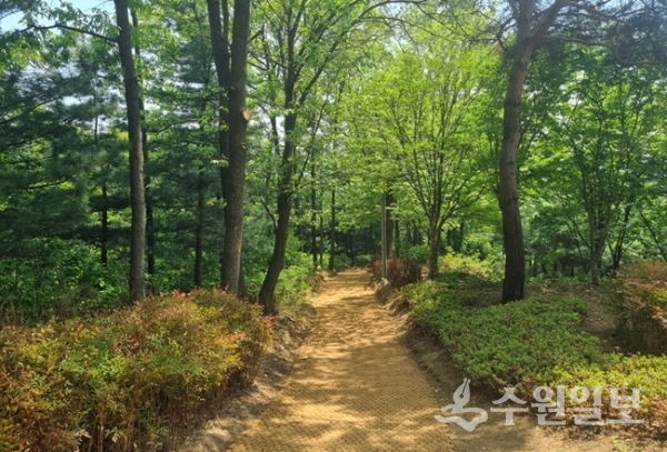 새단장한 도담근린공원 모습.(사진=용인시)