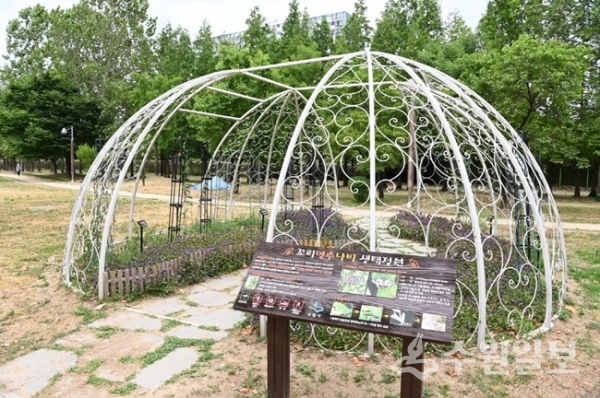 쥐방울덩굴의 지주 역할 및 애벌레와 나비를 보호할 수 있도록 서호공원에 설치된 꼬리명주나비 생태정원.(사진=수원시)