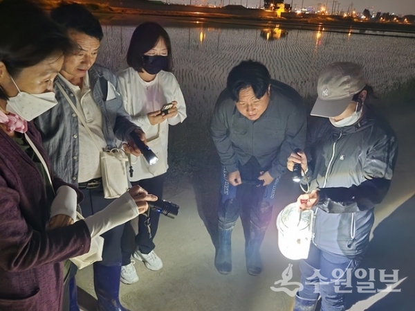 수원시와 국립생태원 관계자들이 야간 모니터링을 하고 있다. (사진=수원시)