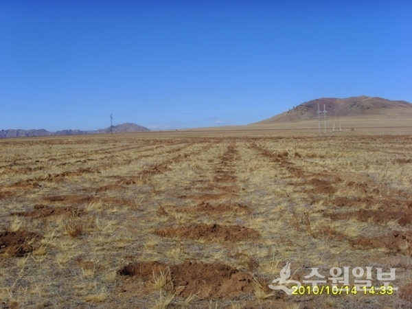 수원시민의 숲이 조성되기 전인 2010년 몽골 현지답사 당시 급격한 사막화로 황량했던 사업 대상지의 모습(사진=수원시)